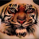 тату голова тигра - новая татуировка на спине