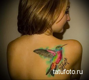 Фото акварельной татуировки колибри на лопатке с надписью "Hope". Татуировка выполнена в нежных пастельных тонах с эффектом размытия.