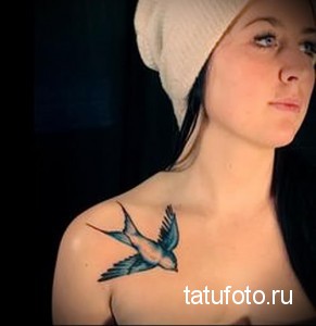 Фото тату ласточки на плече девушки. Рисунок татуировки выполнен в традиционном стиле с использованием голубых и черных цветов.