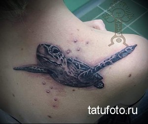 Фото тату морской черепахи, выполненное в черно-белой графике с добавлением мелких пузырьков воздуха, на лопатке.