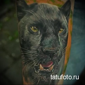 Фото тату: реалистичный рисунок черной пантеры на предплечье, с детально проработанной шерстью и пронзительным взглядом желтых глаз.