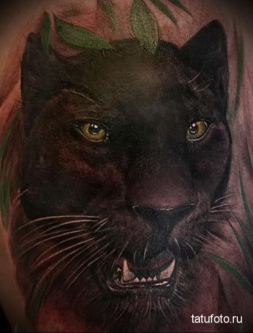 тату пантера - реалистичная татуировка - tatufoto.com