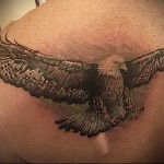 Фото татуировки орла на спине мужчины. Реалистичный рисунок с детально проработанными перьями и мощными крыльями. Черно-серые тона.