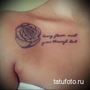 Фото тату с изображением одной розы на ключице и надписью 'Every flower must grow through dirt'. Нежный и вдохновляющий рисунок татуировки.
