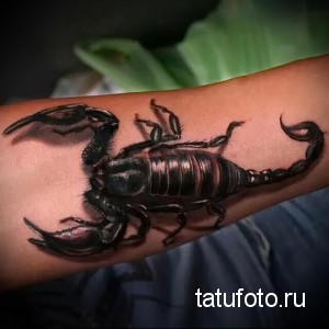Фотография реалистичной татуировки скорпиона, выполненной на руке. Детализированный рисунок с проработанными сегментами тела и клешнями.