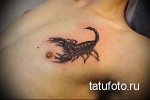 Фото реалистичной татуировки скорпиона на груди. Детализированный рисунок с проработкой текстуры панциря и клешней. Имитация капли росы добавляет реалистичности.