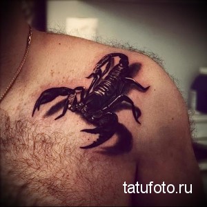 Фото татуировки скорпиона на мужском плече. Черно-серый рисунок с реалистичной проработкой деталей и теней.