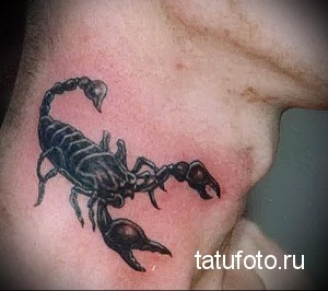 Фото реалистичной татуировки скорпиона на предплечье. Детализированный черно-серый рисунок татуировки с проработкой текстуры и теней.