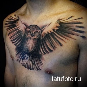 Фото тату реалистичной совы в полете, расположенной на груди мужчины. Рисунок выполнен в черно-серых тонах с высокой детализацией перьев и крыльев.