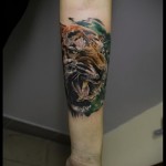 тату тигр на руке - цветная татуировка на фото