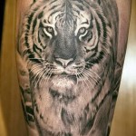 тату тигра на плече - величественный вариант