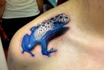 Тату лягушка синего цвета — трехмерный 3д рисунок на плече девушки