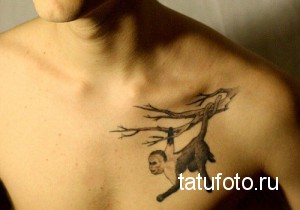 Фотография татуировки на груди с изображением обезьяны, свисающей с ветки дерева. Рисунок выполнен в черно-серых тонах с использованием реалистичной прорисовки.