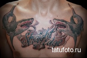 Фото тату на груди с изображением двух акул, парящих над надписью 'Straight Edge'.