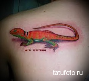 Фото тату: красочная ящерица на плече. Красный, зеленый, желтый цвета, реалистичная текстура кожи. Отличный выбор для любителей экзотических животных.