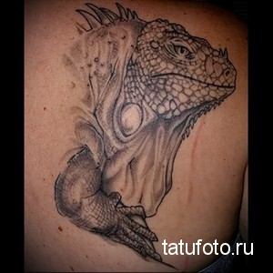 Фото тату игуаны, выполненное в реалистичном стиле с использованием серых оттенков. Детализированный рисунок татуировки на спине.