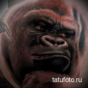 Фото тату реалистичной головы гориллы на плече. Детализированный рисунок с выразительным взглядом и реалистичной текстурой шерсти.