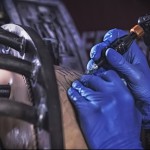 Фото процесса татуировки: мастер в синих перчатках наносит рисунок на кожу клиента. Видна тату-машинка и рука мастера.