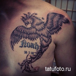 Фото тату феникса на груди и плече, выполненного в серо-черных тонах с детальной проработкой перьев и крыльев, а также с надписью и датой.
