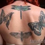 Тату насекомые - бабочки и мотыльки на спине