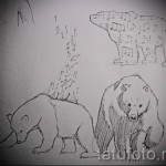 Эскиз тату медведь 12