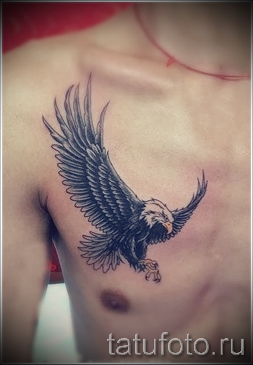 Тату орел на правой части груди молодого парня - tatufoto.com