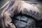 Армейская татуировка — надпись ЗА ВДВ