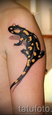 Тату саламандра фото — трехмерная татуировка на мужском плече
