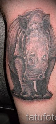 Фото пример тату носорог — на изгибе руки