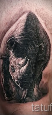 Фото пример тату носорог — на ноге выше колена
