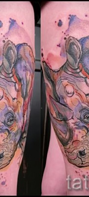 Фото пример тату носорог на ноге выше колена — тату большого размера в цвете