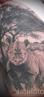 Фото пример тату носорог — на плече и руке