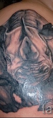 Фото пример тату носорог — на плече крепкого мужчины