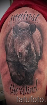 Фото пример тату носорог с надписями на правом плече для мужчины