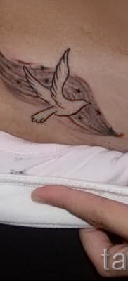 Фото тату голубь в полете — нанесена в интимной зоне под трусиками