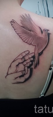 Фото тату голубь и руки — татуировка на правой лопатке у девукшки