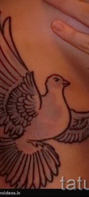Фото тату голубь на боку — под грудью у молодой девушки
