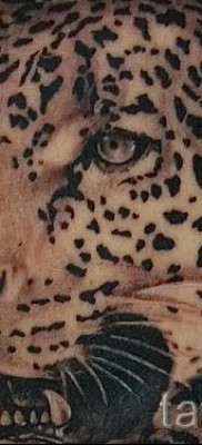 Фото тату барс — картинный рисунок морды