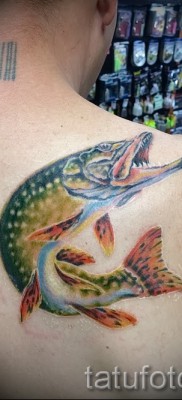 Фото тату щука — цветная татуировка на лопатке у мужчины