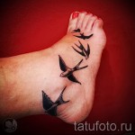 тату ласточки на ноге - фото пример 25