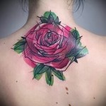 Picture-Option aus dem Nummer 15122015 - Aquarell tattoo rose 3