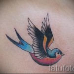 Tattoo Swallows Photo examples 3