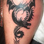 Tattoo auf der Wade dragon Foto Beispiel f%C3%BCr die Nummer 20122015 1