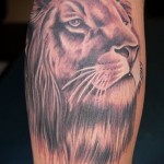 Tattoo auf der Wade lion - Foto Beispiel für die Nummer 20122015 1