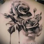 Tattoo black and white roses - Photo option from the number 15122015 1