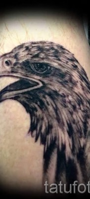 hawk tattoo — an example of the photograph of 07122015 5