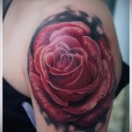 rose tattoo on his arm - a variant of the picture number 15122015 3