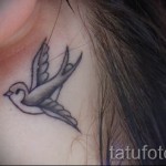 swallow tattoo behind the ear - Photo example 3