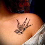 swallow tattoo on her collarbone - Photo example 4