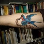 swallow tattoo on his arm - Photo example 2